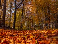 Beskid Niski